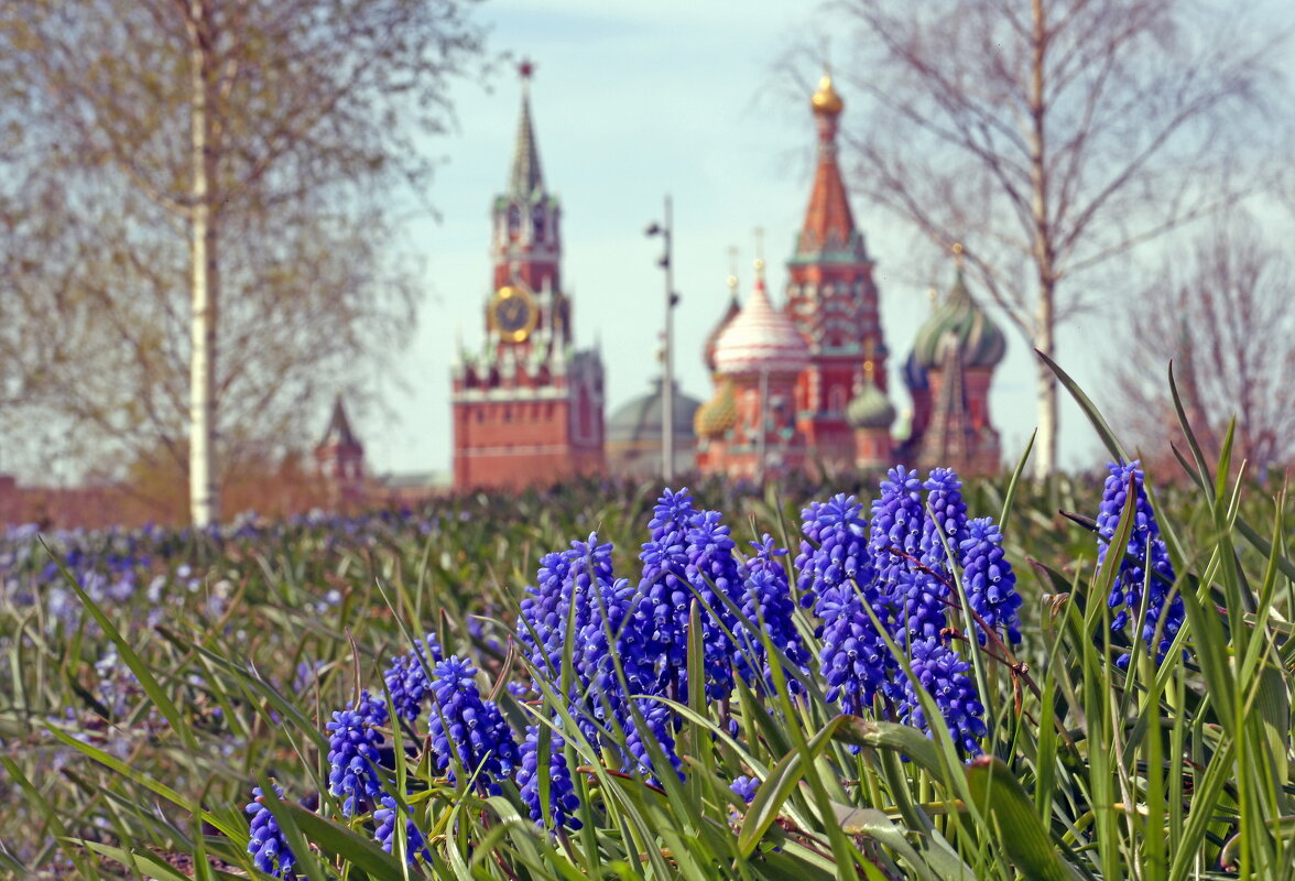 Зарядье 22 апреля - Михаил Бибичков