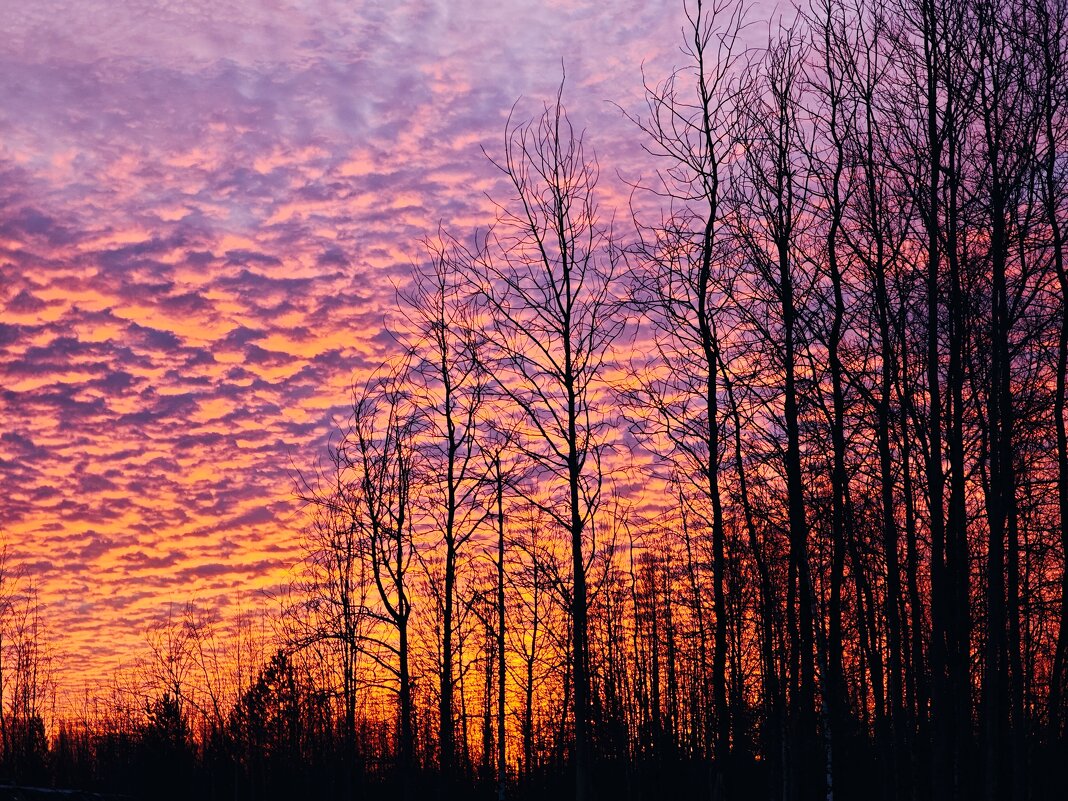 Огненный рассвет - Александр 
