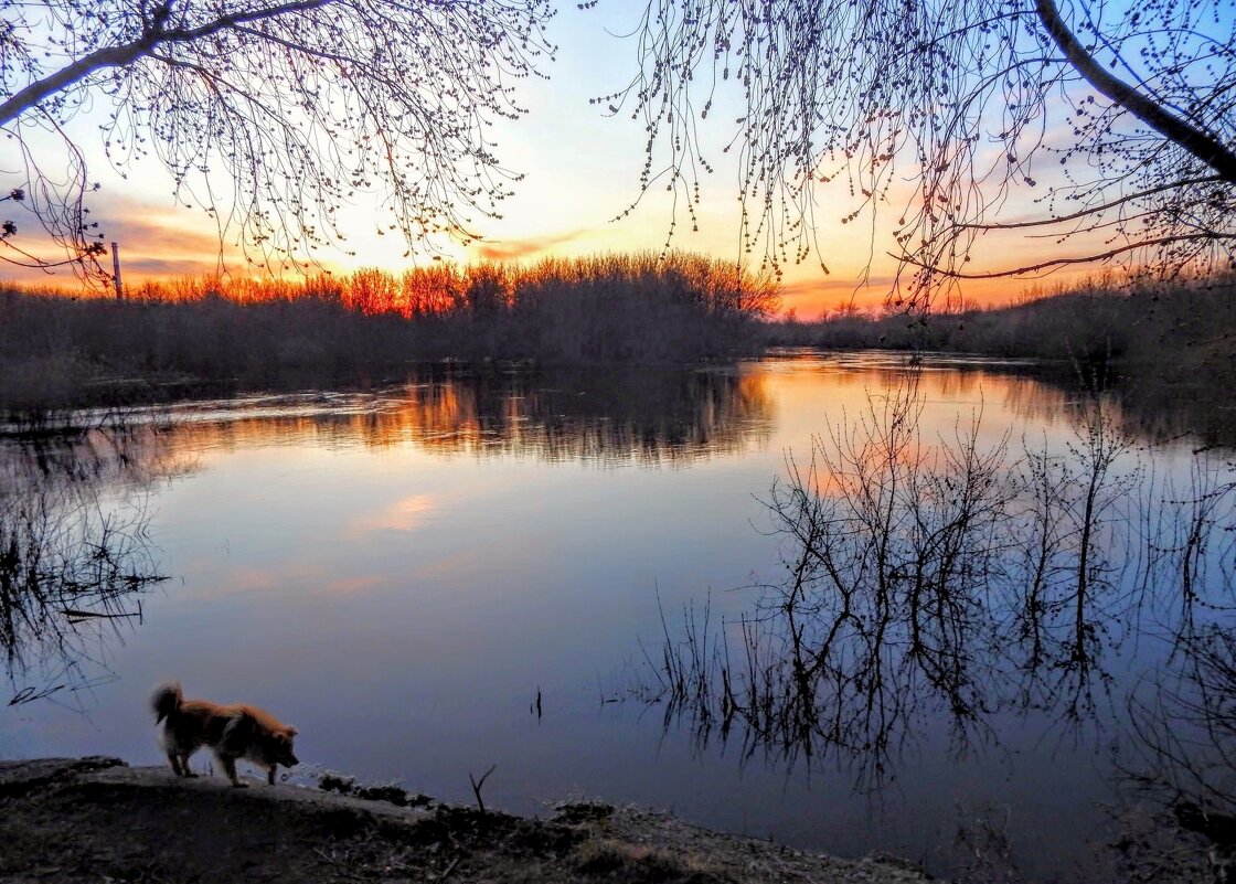 Гармония тишины! - Елена Хайдукова  ( Elena Fly )