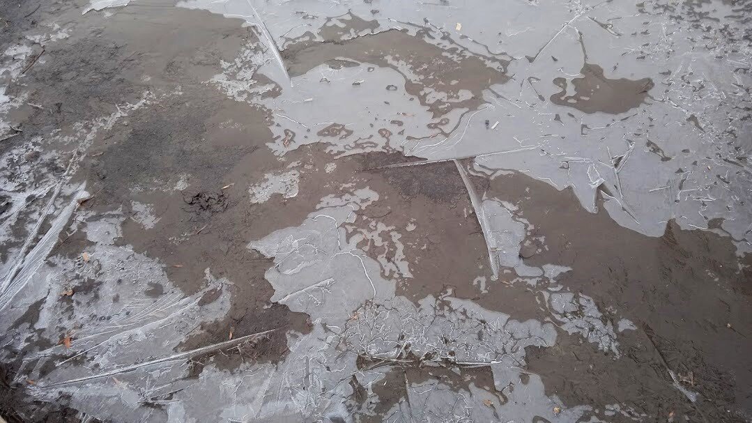 март - Елена Шаламова