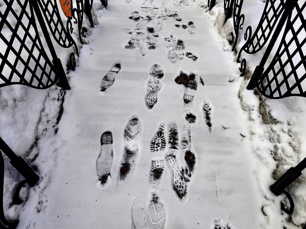 На тему Александра Галича - Victor Vinocurov