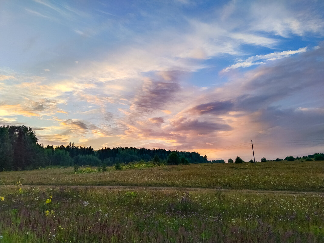 Летний вечер - Анастасия Логинова