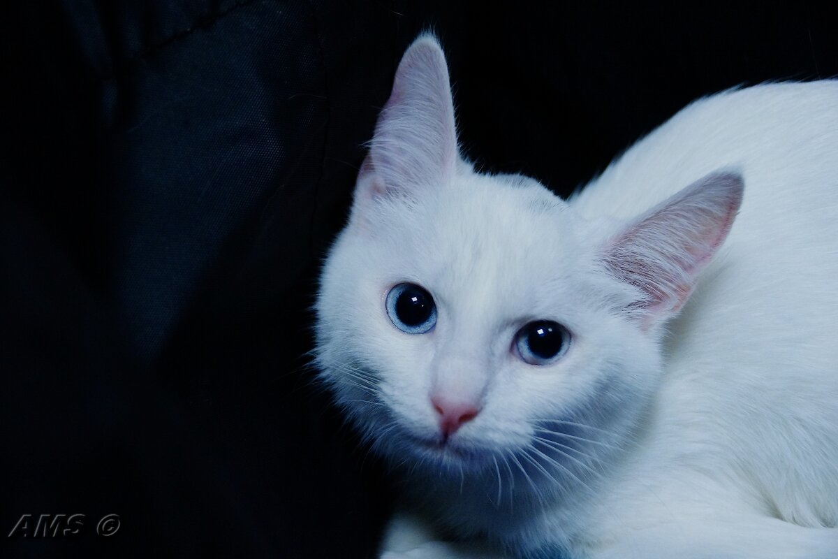 Ура ! - kolyeretka 