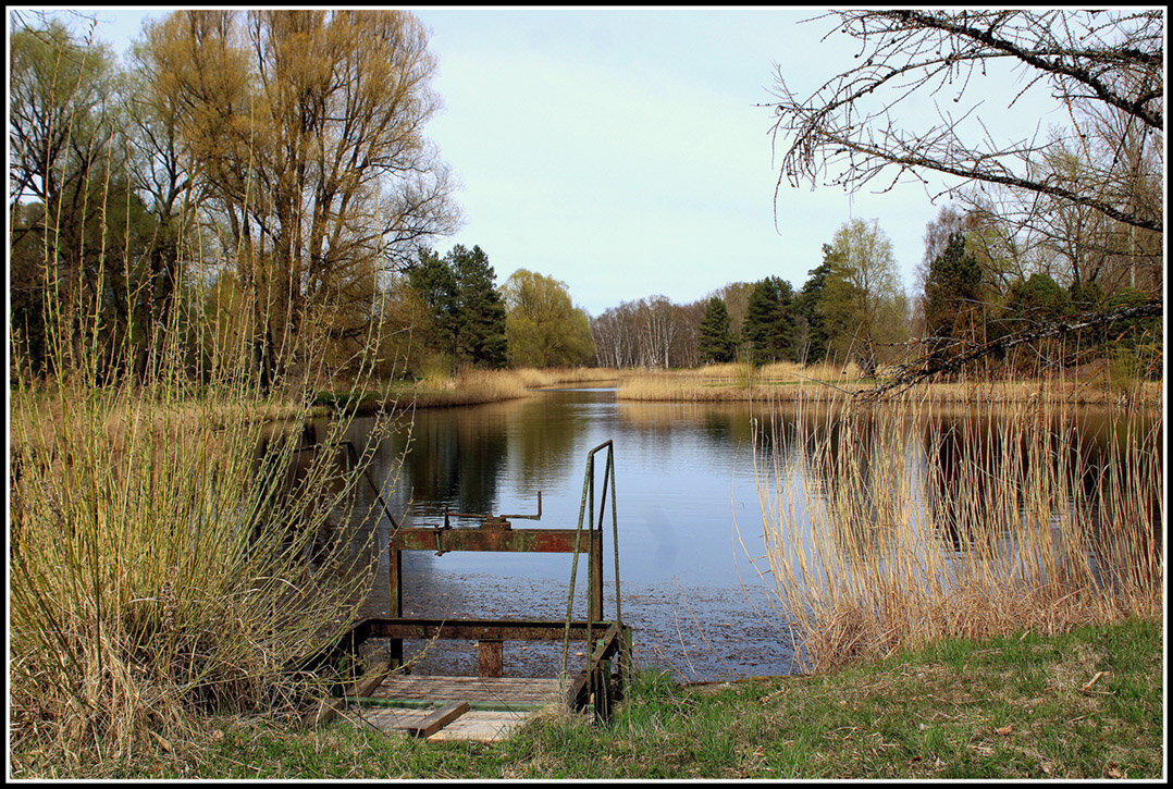 На озере - Aleksandr Gal
