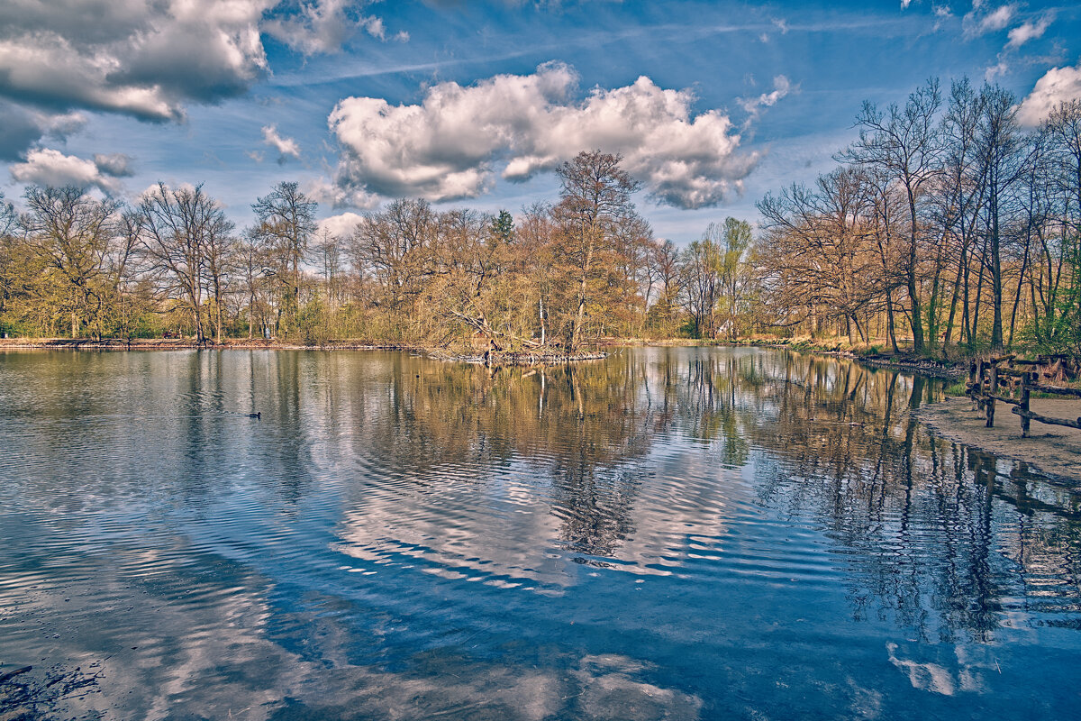 Пруд - Jakob Dick