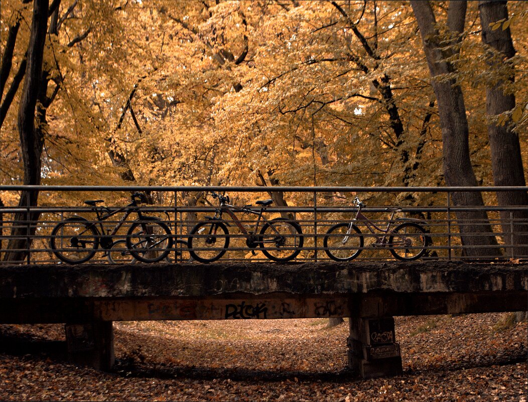 Вот и осень... - Виктор Савельев