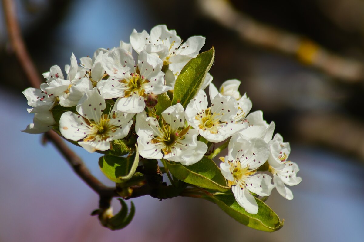 Доброе утро - Юрий. Шмаков