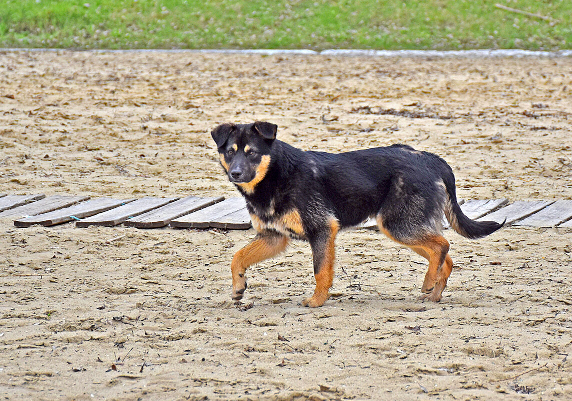 Угостишь?! - Валентина  Нефёдова 