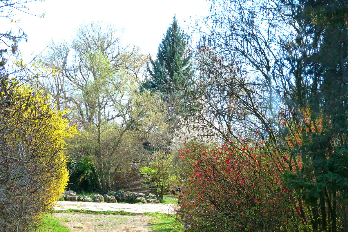 Весна в  Крыму - Валентин Семчишин