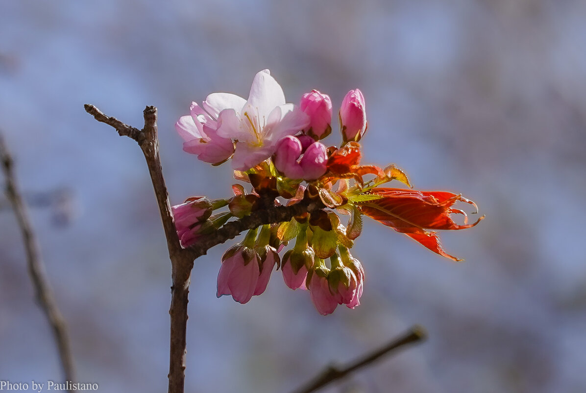 Пробуждение... - Владимир Жданов