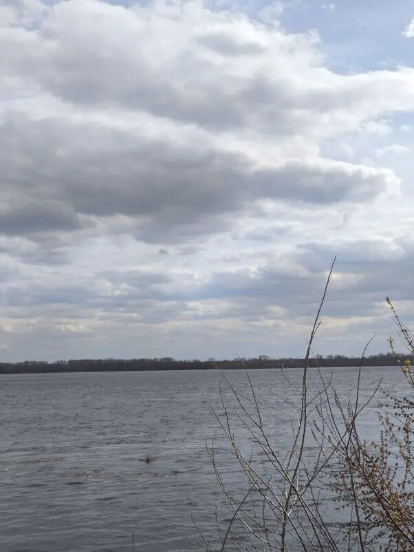 «Тучки небесные, вечные странники!..» - Ирэн 