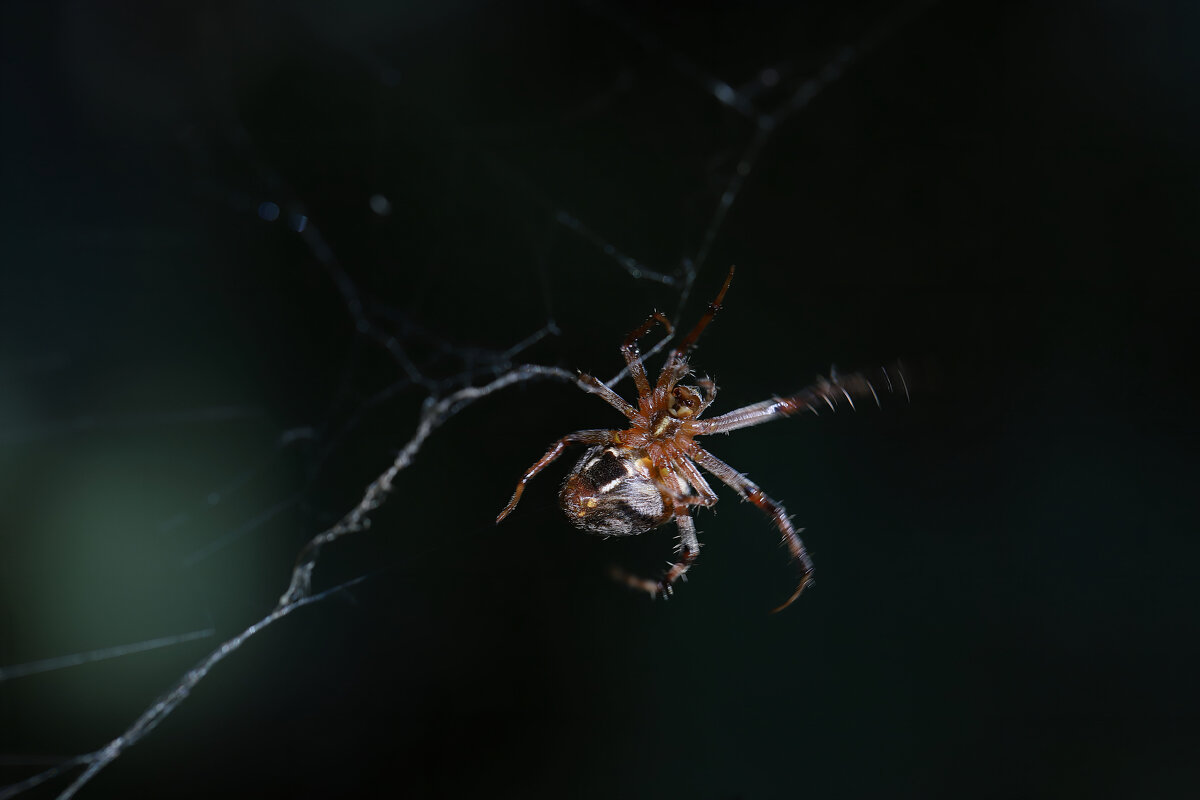 Я не давал согласия на съемку - Татьяна Салиева