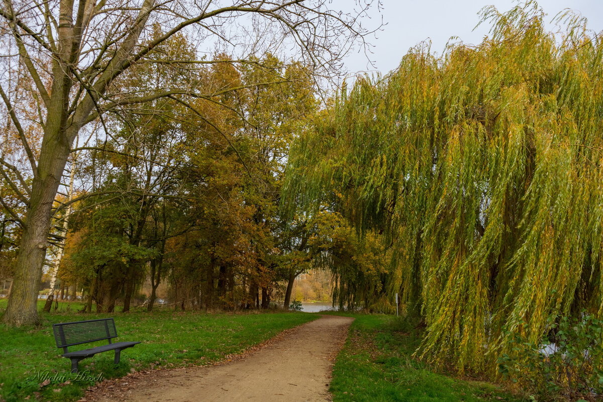 *** - Николай Гирш