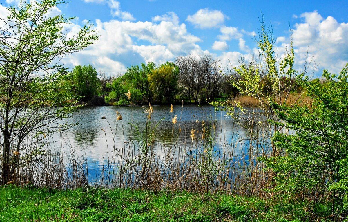 Весна. - Владимир 