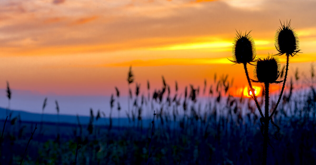 Ставрополье - Закат! - Вячеслав Назаренко