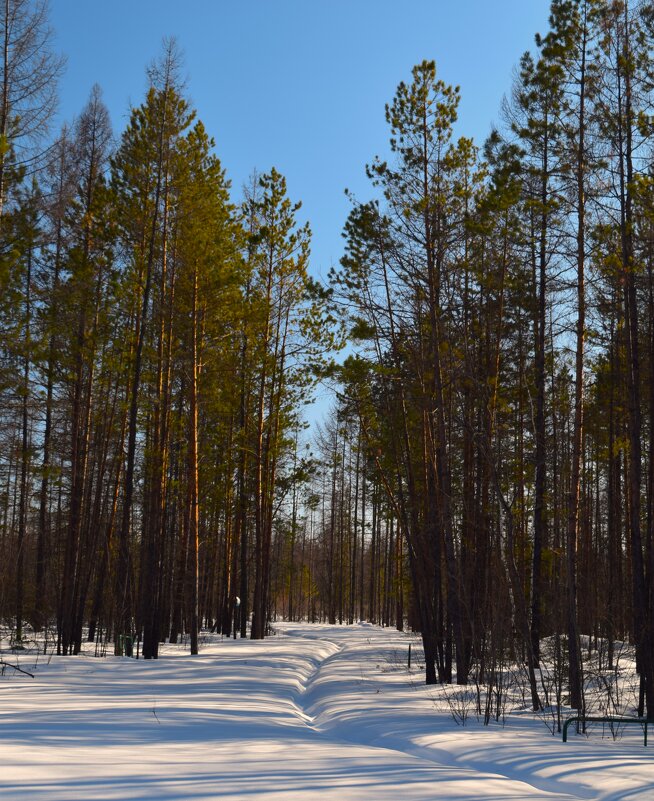 Тропинка - Надежда 