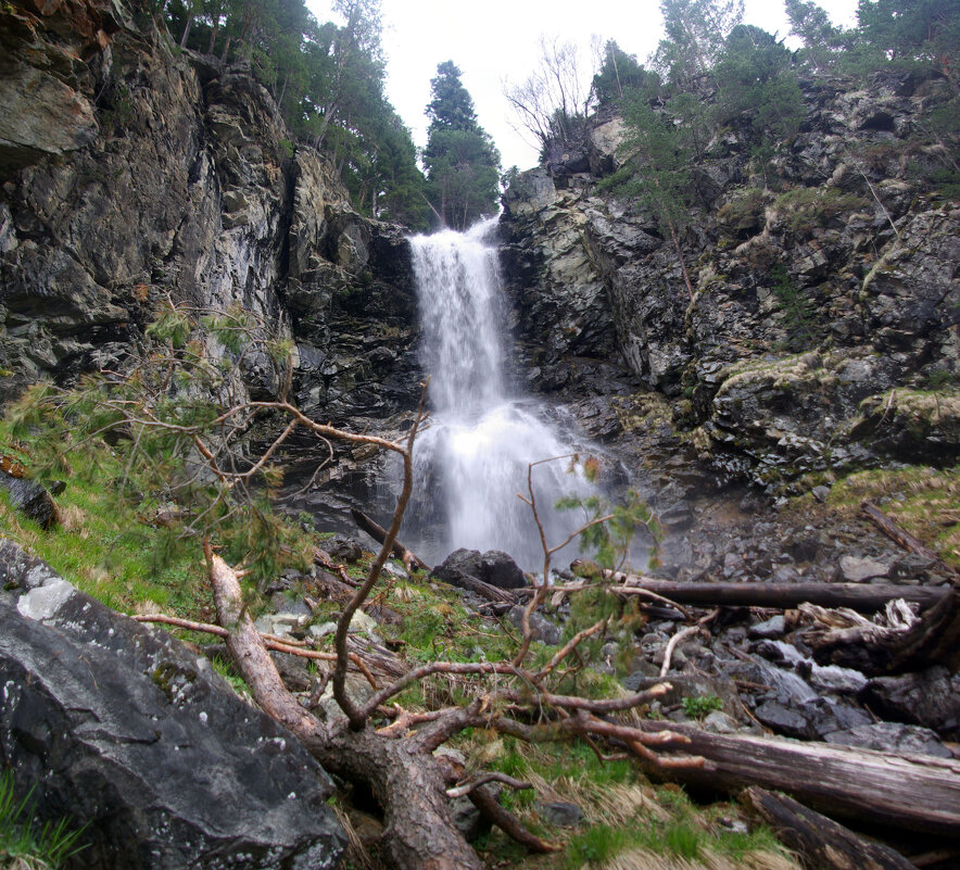 Падение ... - Андрей Любимов