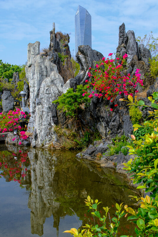 г. Шэньчжэнь (юг Китай) - Георгий А