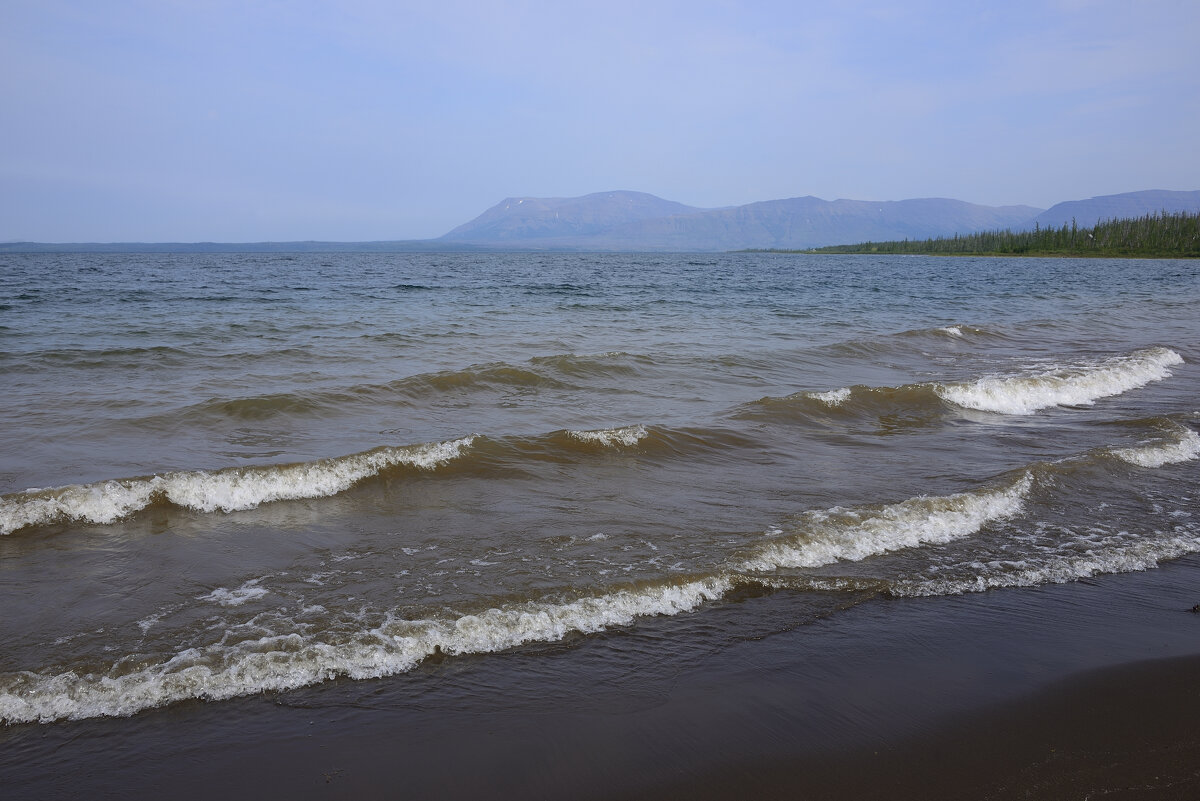 *** - Александр Хаецкий