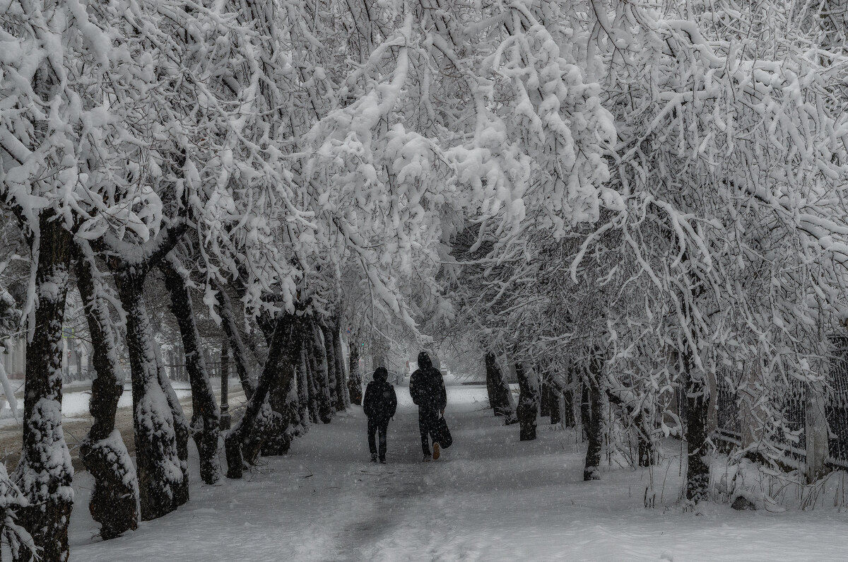 Сказочная весна - Виктор Иванович Чернюк