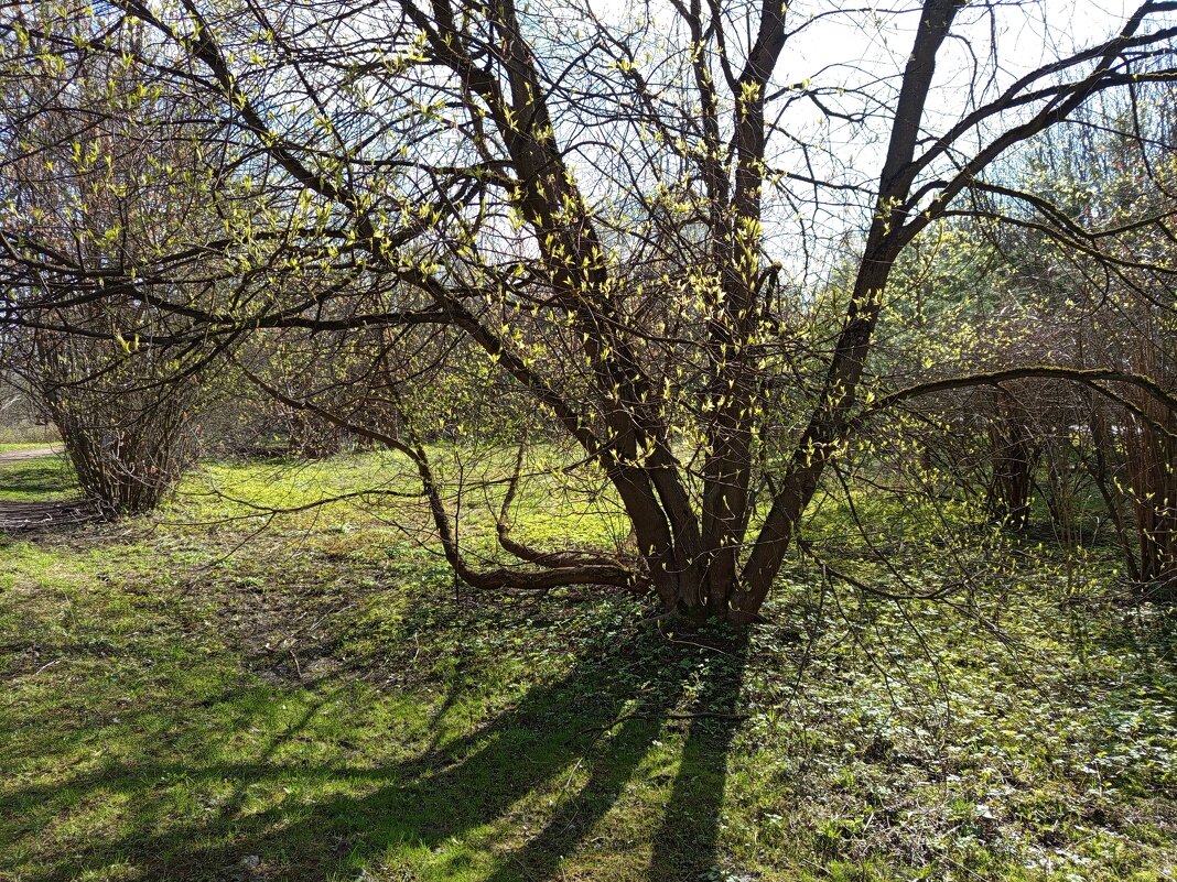 Прозрачность апреля - Андрей Лукьянов