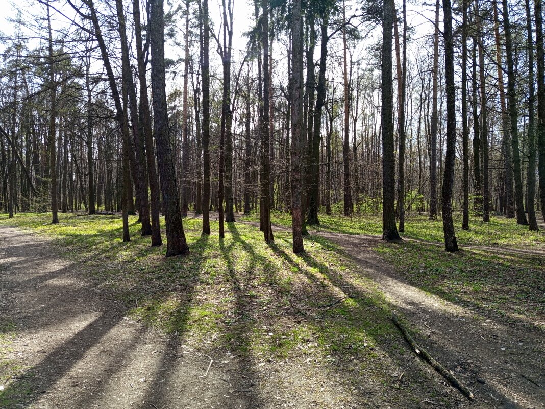 Прозрачность апреля - Андрей Лукьянов