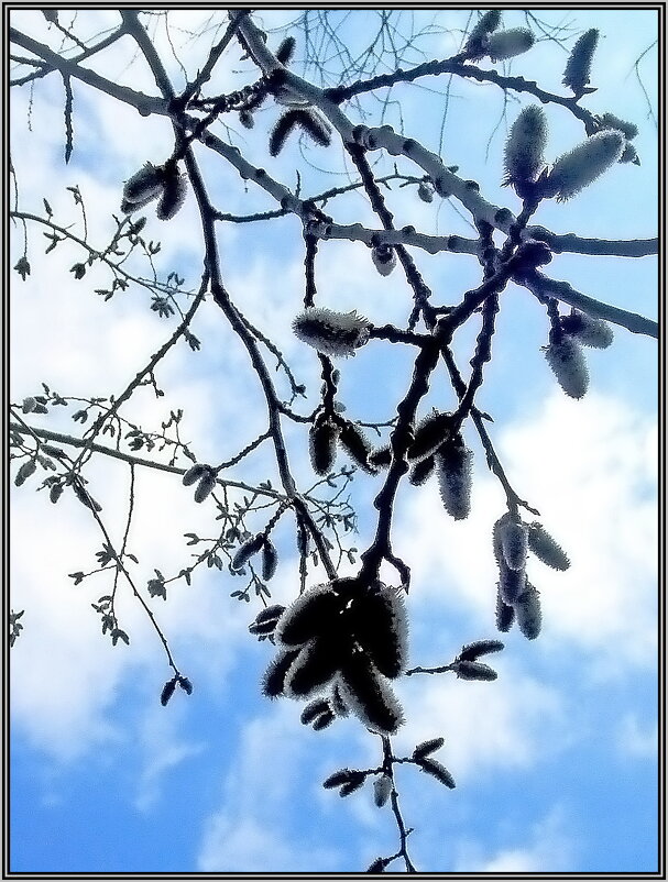 Весенний этюд - Ольга Довженко