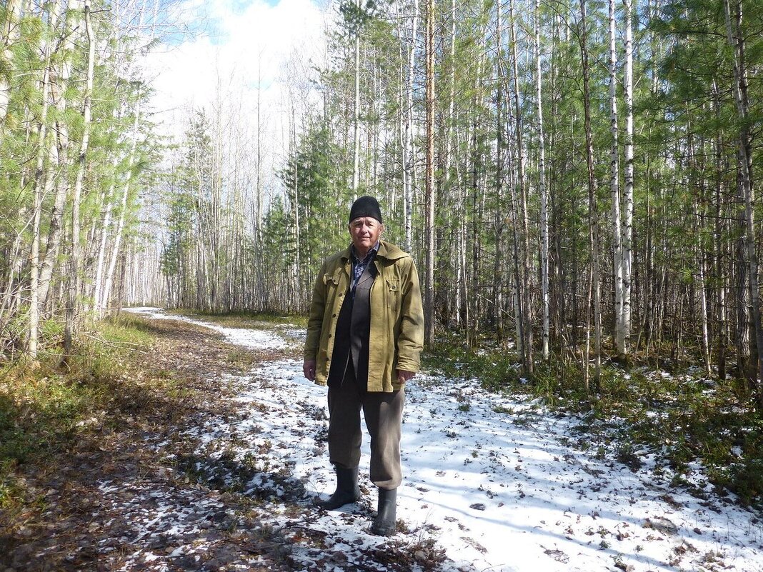 Май.. Утро в лесу после ночного снегопада! - Владимир 