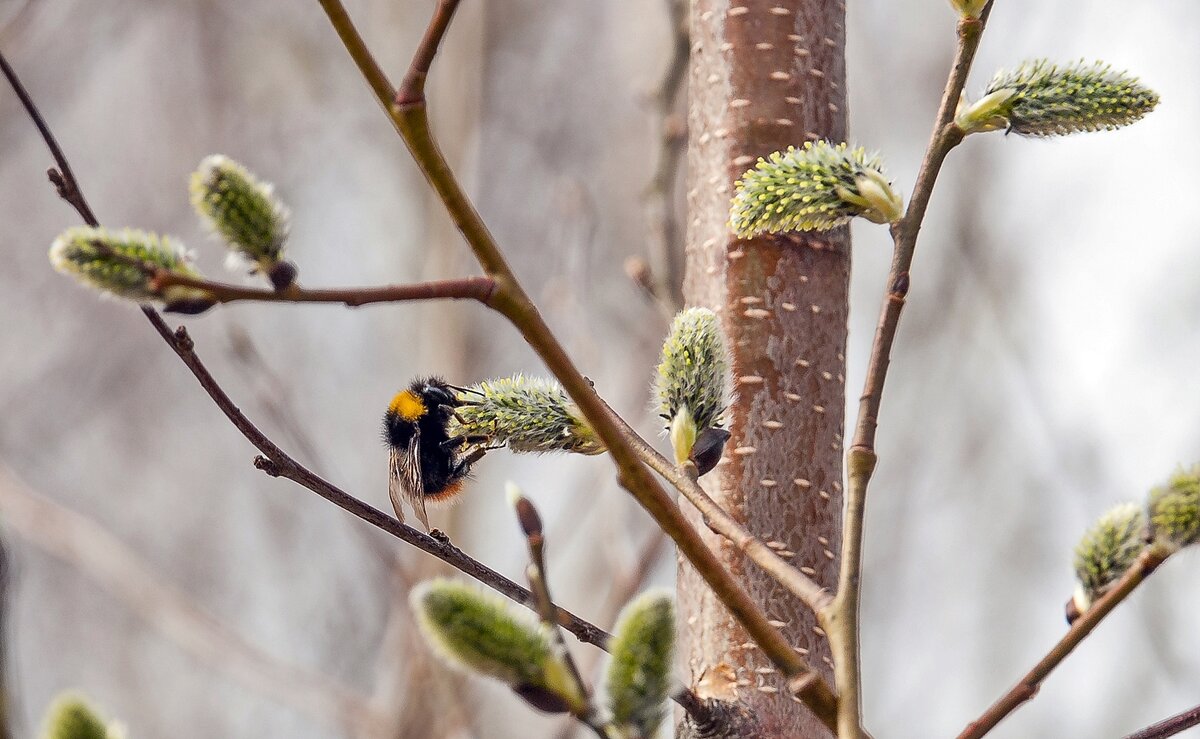 Вкусненькое на завтрак - Валерий Иванович