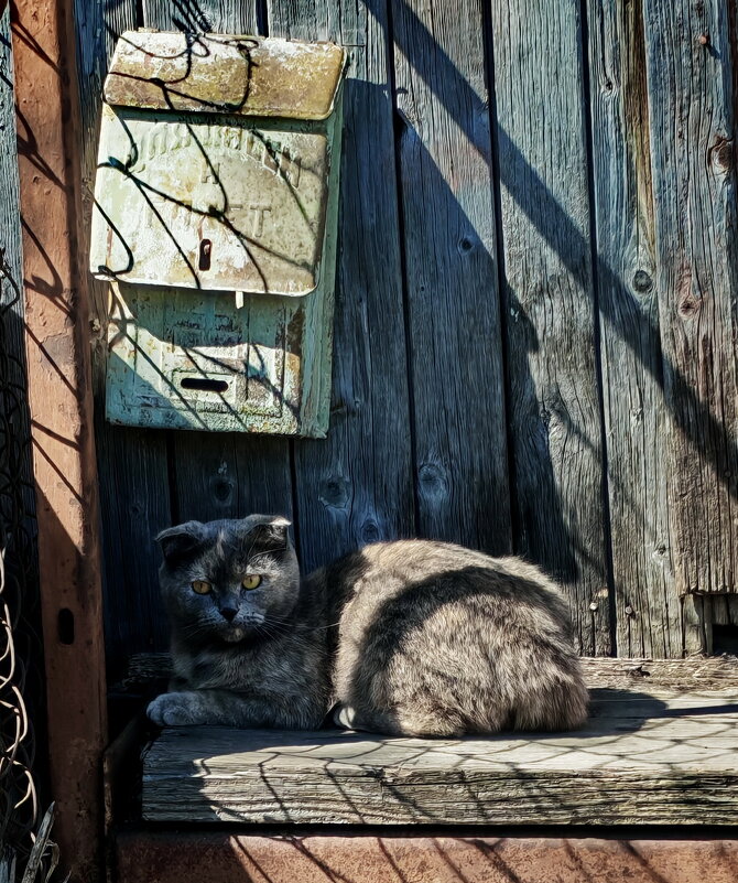 В ОЖИДАНИИ ПОЧТОВЫХ ГОЛУБЕЙ - Юрий Вовк