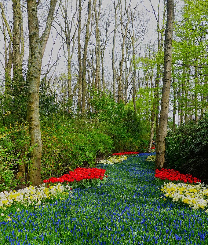 Королевство цветов(серия) - Владимир Манкер