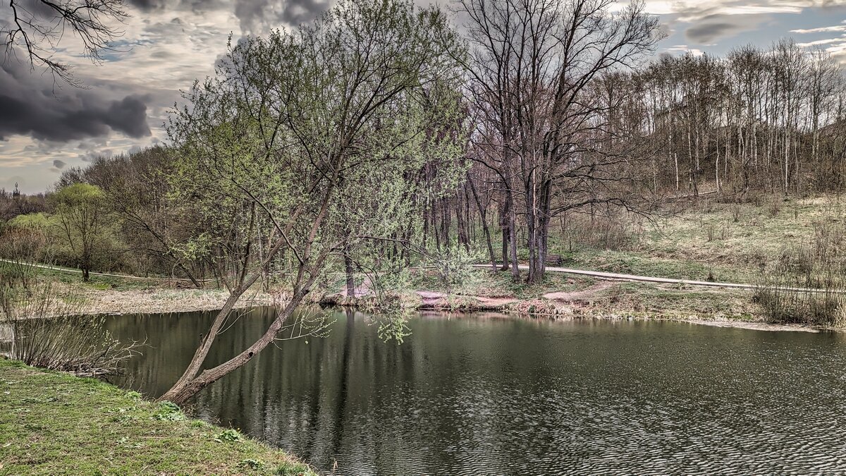 Пробуждение природы ... - Ravile 