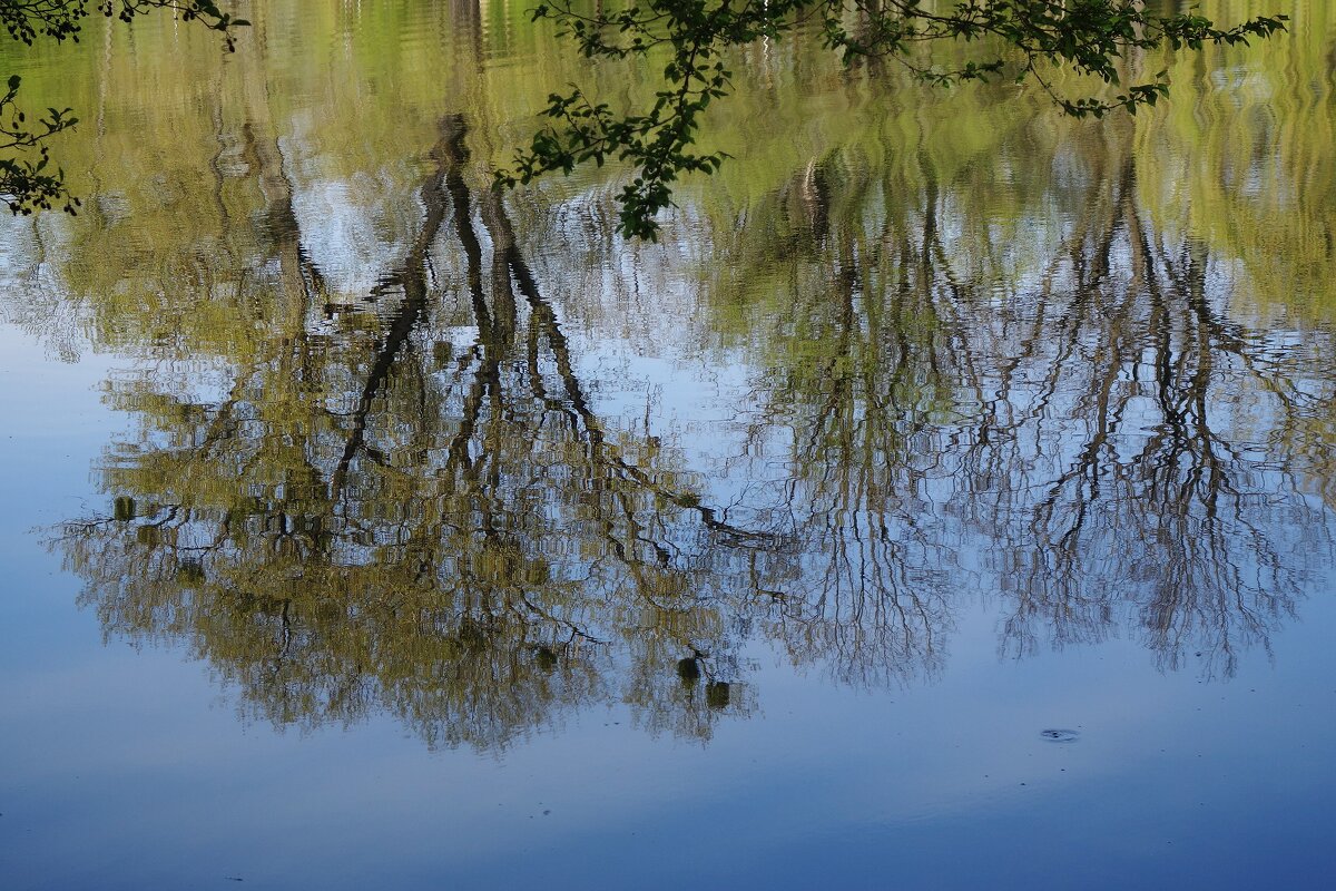 Апрельские этюды - Рита Симонова