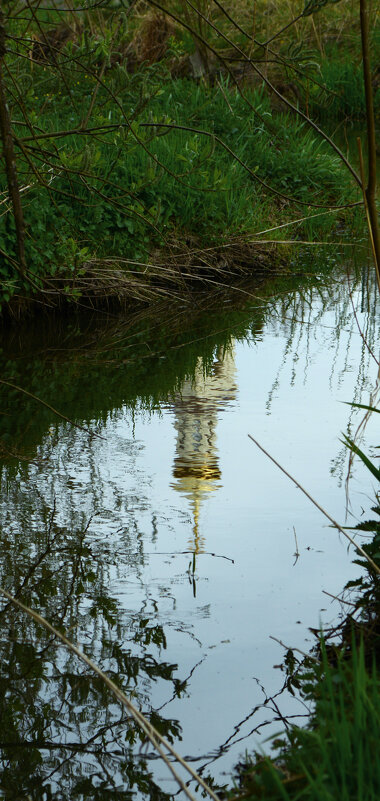 Отражение. - Константин Белоногов