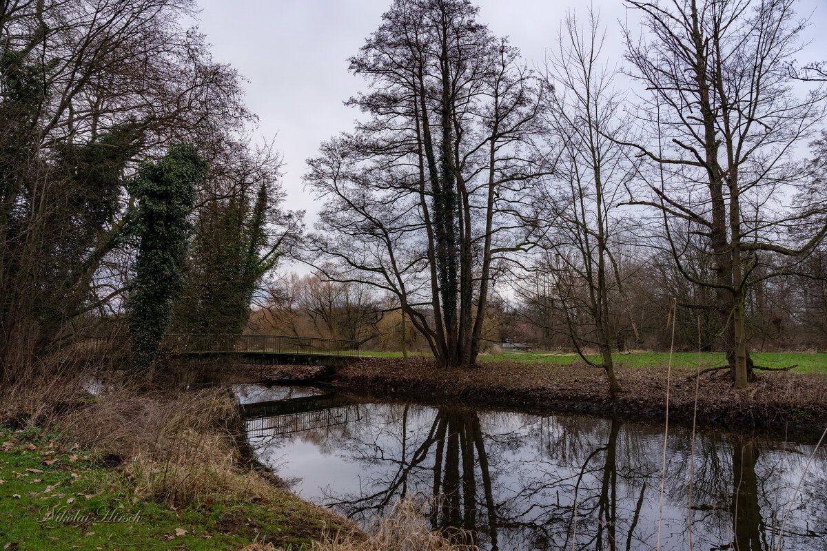 Январское... - Николай Гирш