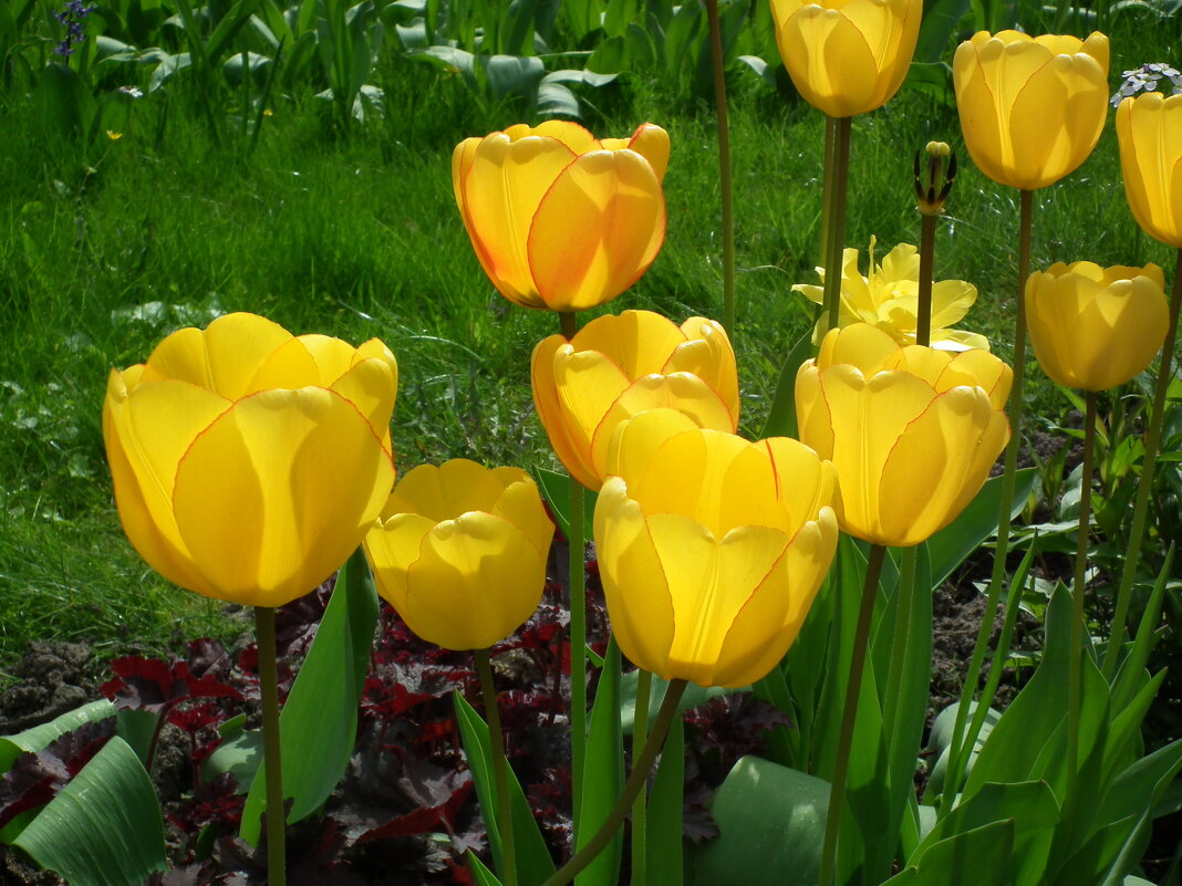 Перед закатом - Виктор Савельев