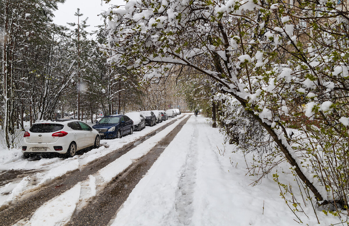 Снежные улицы в апреле - Александр Синдерёв