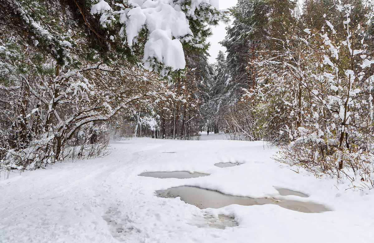 Апрельский пейзаж - Александр Синдерёв