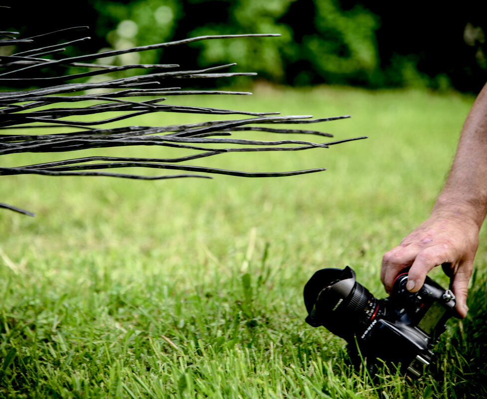 Главное - не уколоться... - Магомед .