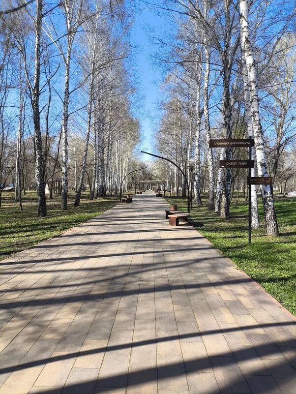 Аллея парка - Ирэн 