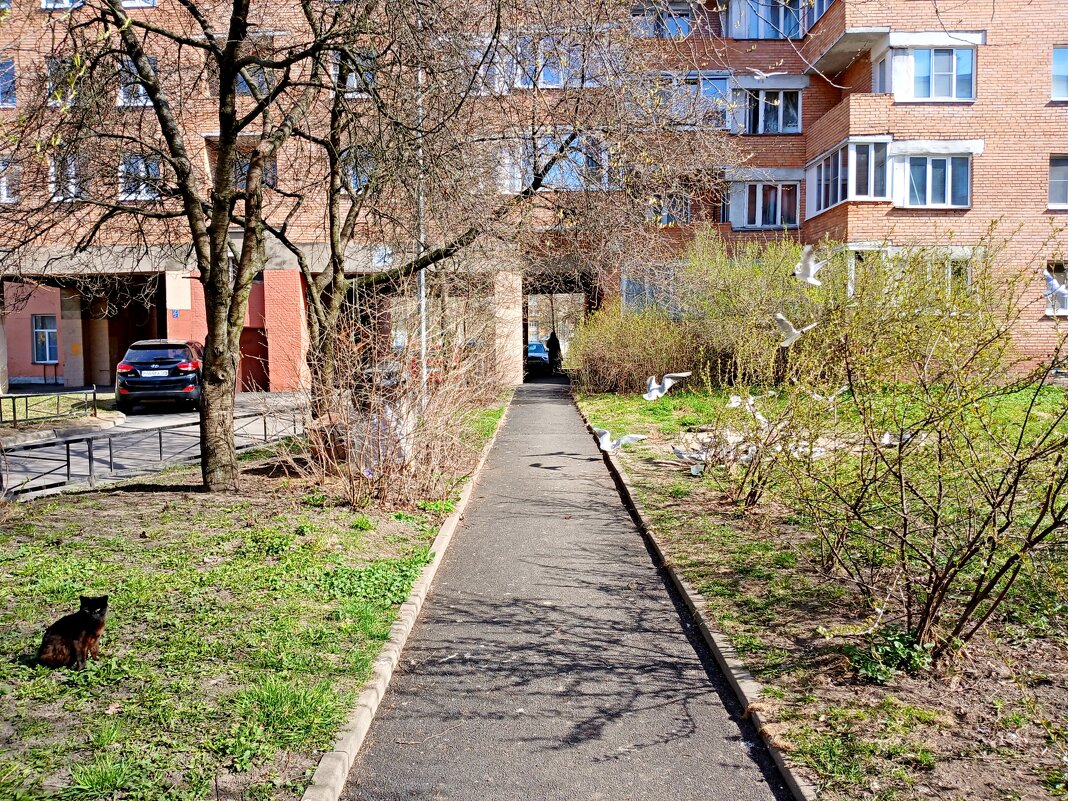 Дворики Кронштадта. - Лия ☼