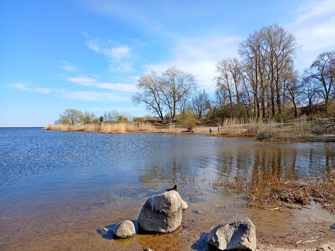 Кронштадтский пейзаж. - Лия ☼
