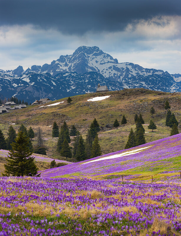 Весна - Сергей Титов