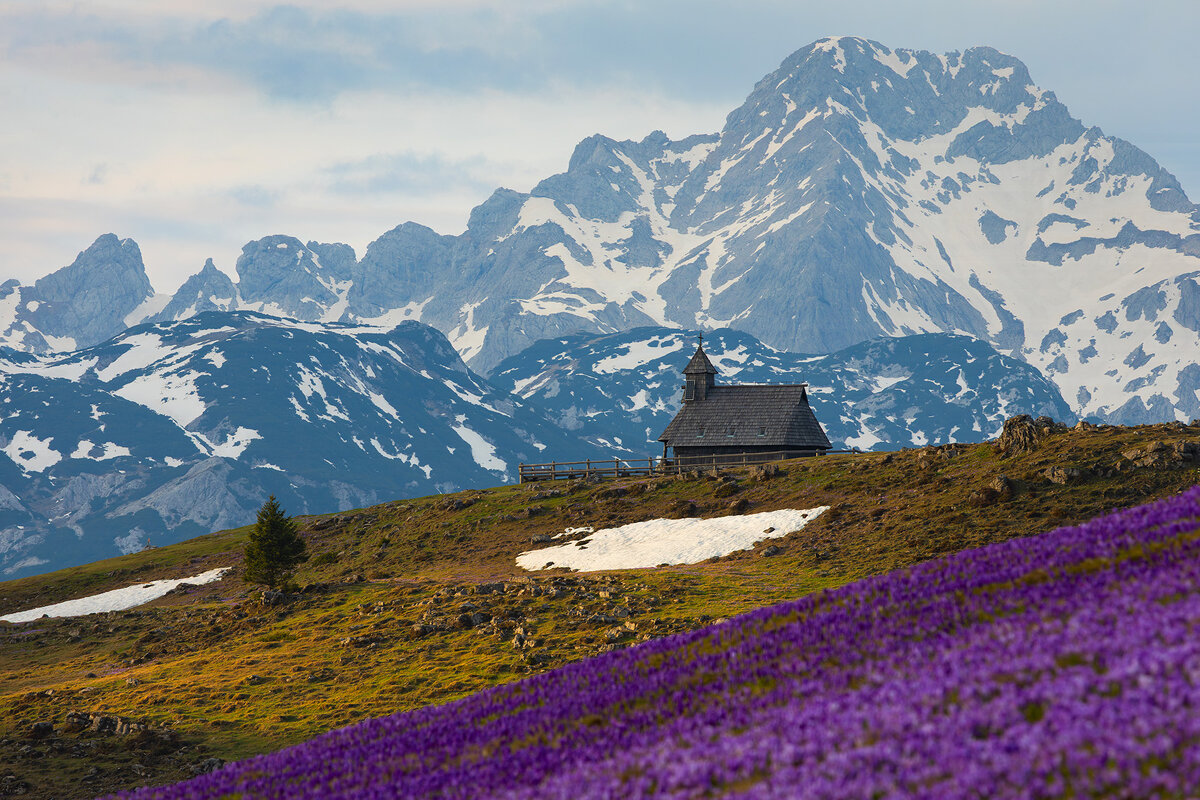 Весна на высокогорье - Сергей Титов