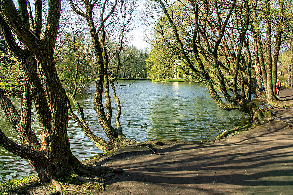 Апрель в городском парке - Bosanat 