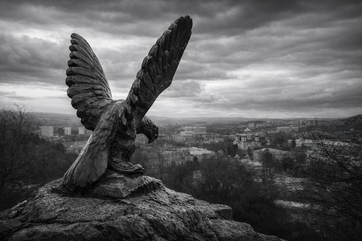 Каменный дозор - Андрей Васильев