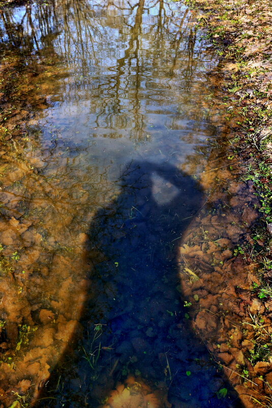 Ушёл в Тень. - Николай Кондаков