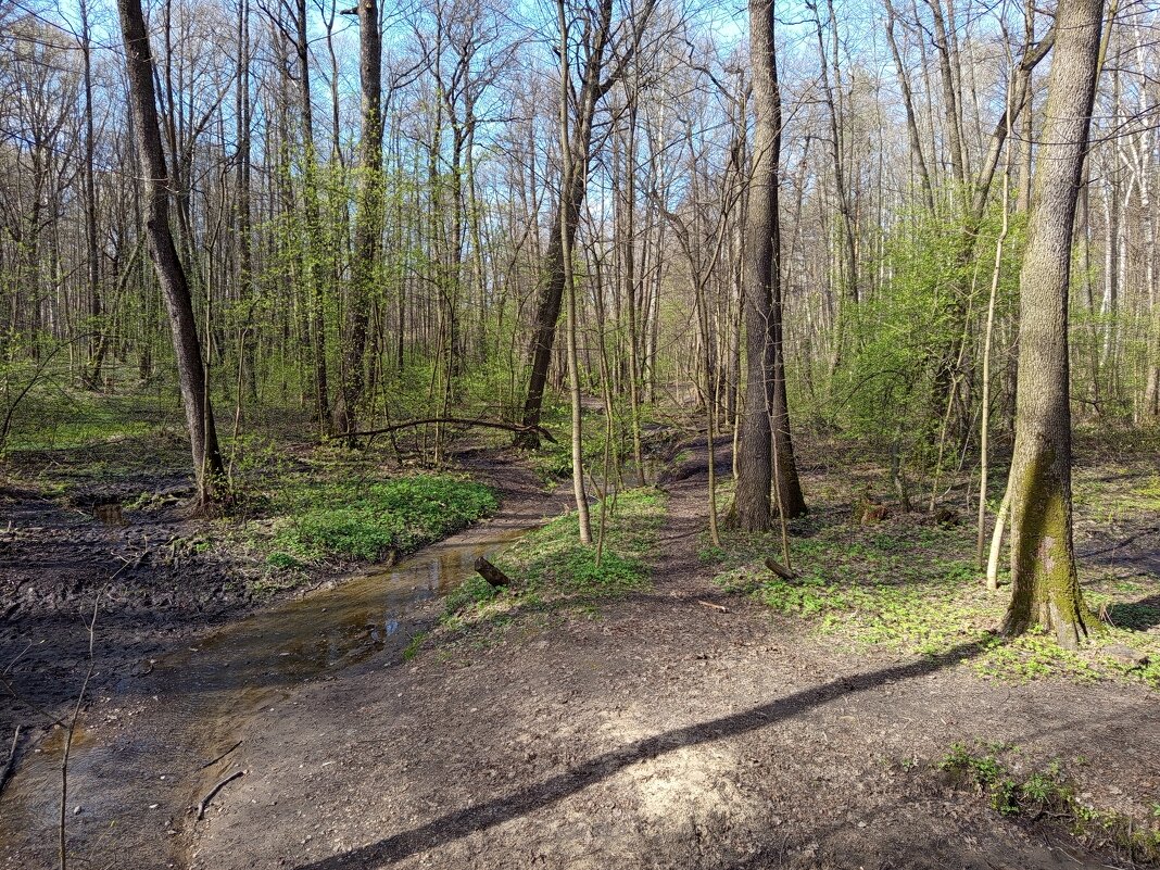 Апрель, который радовал нечасто - Андрей Лукьянов