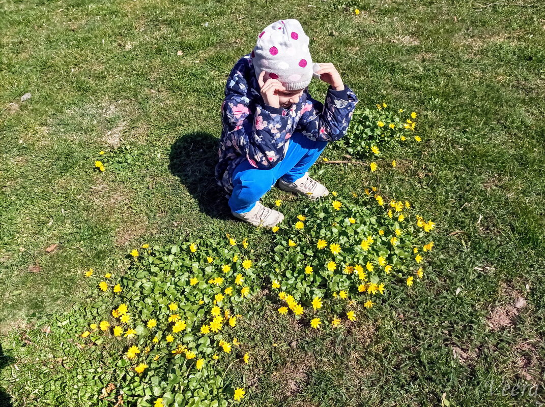 Цветочки - Veera V