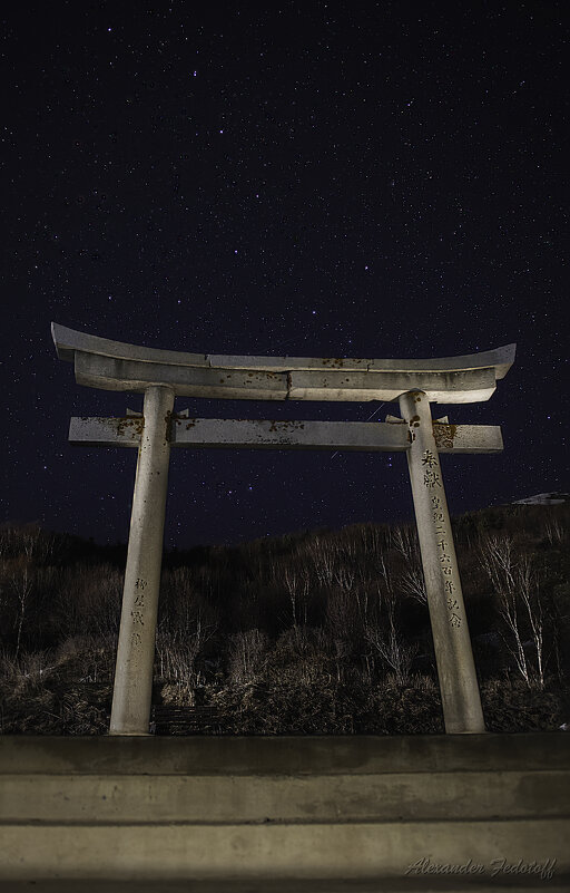 Ворота Тории - Alexander Fedotov